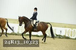24R13_10323 thumbnail