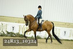 24R13_10324 thumbnail