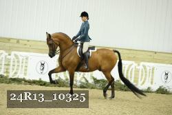 24R13_10325 thumbnail