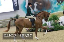 24R13_10327 thumbnail