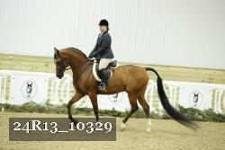 24R13_10329 thumbnail