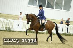 24R13_10332 thumbnail