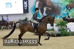 24R13_10333 thumbnail