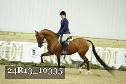 24R13_10335 thumbnail