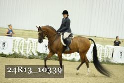 24R13_10339 thumbnail