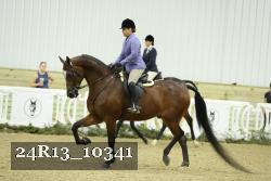 24R13_10341 thumbnail