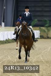 24R13_10342 thumbnail
