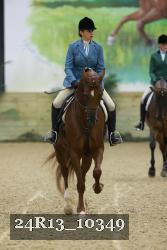 24R13_10349 thumbnail