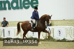 24R13_10354 thumbnail