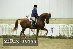 24R13_10355 thumbnail