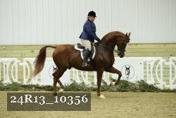 24R13_10356 thumbnail