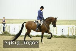 24R13_10362 thumbnail