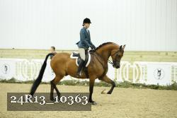 24R13_10363 thumbnail