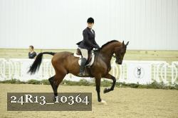 24R13_10364 thumbnail