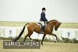 24R13_10365 thumbnail