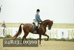 24R13_10369 thumbnail
