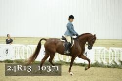 24R13_10371 thumbnail