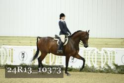 24R13_10373 thumbnail