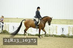24R13_10375 thumbnail