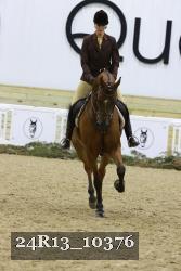 24R13_10376 thumbnail