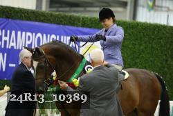 24R13_10389 thumbnail