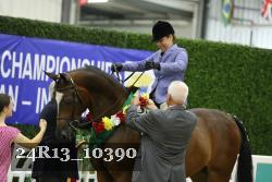 24R13_10390 thumbnail