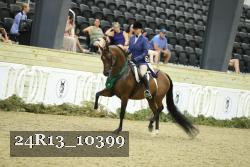 24R13_10399 thumbnail