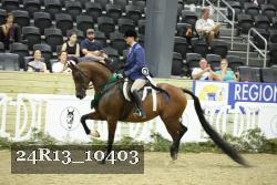 24R13_10403 thumbnail