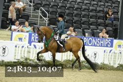 24R13_10407 thumbnail