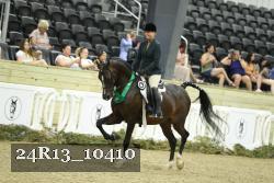 24R13_10410 thumbnail