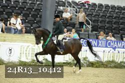 24R13_10412 thumbnail