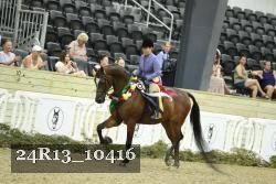 24R13_10416 thumbnail