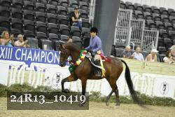 24R13_10419 thumbnail