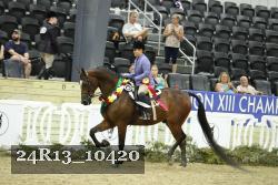 24R13_10420 thumbnail