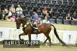 24R13_10422 thumbnail