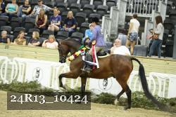 24R13_10424 thumbnail