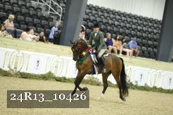 24R13_10426 thumbnail
