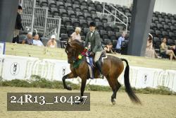24R13_10427 thumbnail