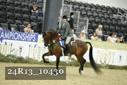 24R13_10430 thumbnail