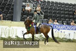 24R13_10432 thumbnail