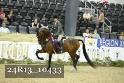 24R13_10433 thumbnail