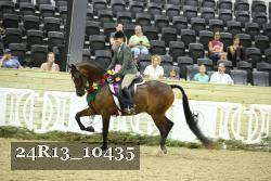 24R13_10435 thumbnail