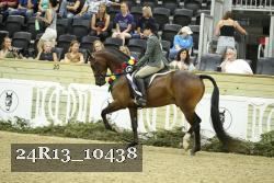 24R13_10438 thumbnail