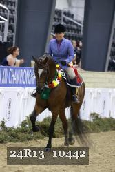 24R13_10442 thumbnail