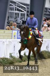 24R13_10443 thumbnail