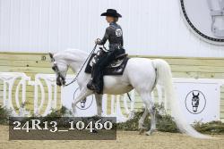 24R13_10460 thumbnail