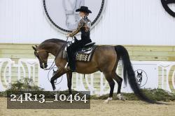 24R13_10464 thumbnail