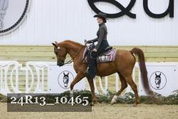 24R13_10465 thumbnail
