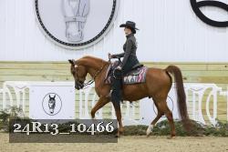 24R13_10466 thumbnail