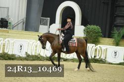 24R13_10469 thumbnail